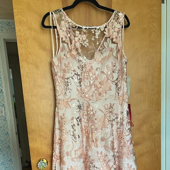 NWT! Blush-Colored Asymmetrical Formal Gown // Eliza J. Women's Size 14 - Picture 6 of 6